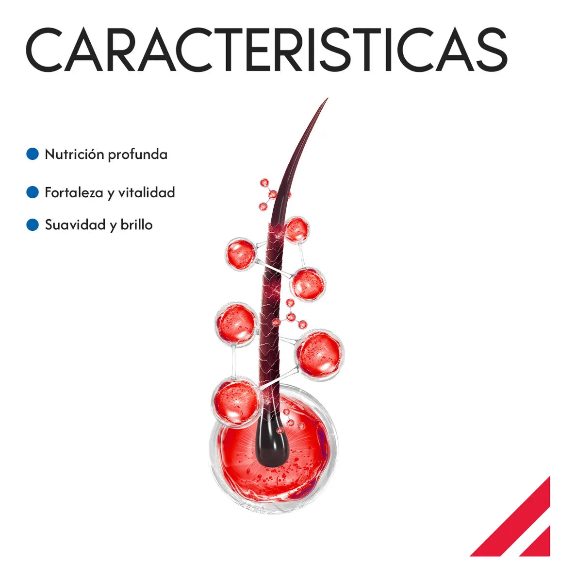 Kormesic Cápsulas Capilares Reparadoras 40 Piezas para Cabello Seco o Dañado | Slim Company