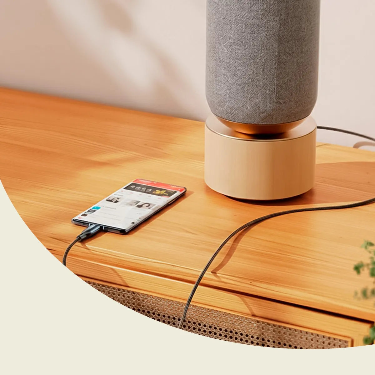 Cable De Audio Usb Tipo C A Auxiliar 3.5mm Reforzado Igad 1m